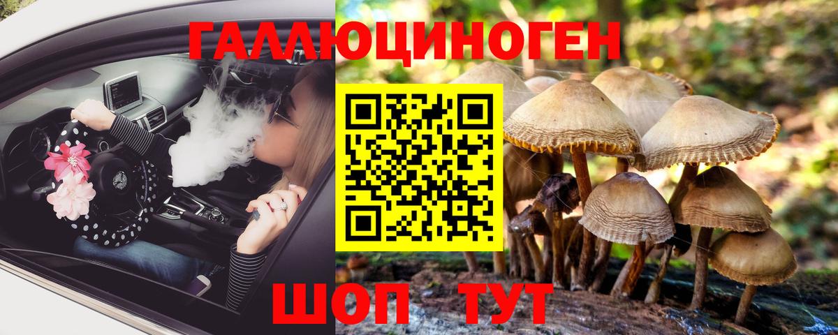 Псилоцибиновые грибы Cubensis Егорьевск