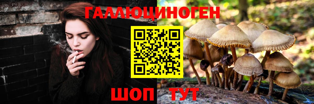 Егорьевск  Псилоцибиновые грибы ЛСД  где купить наркоту  Вход с VPN 
